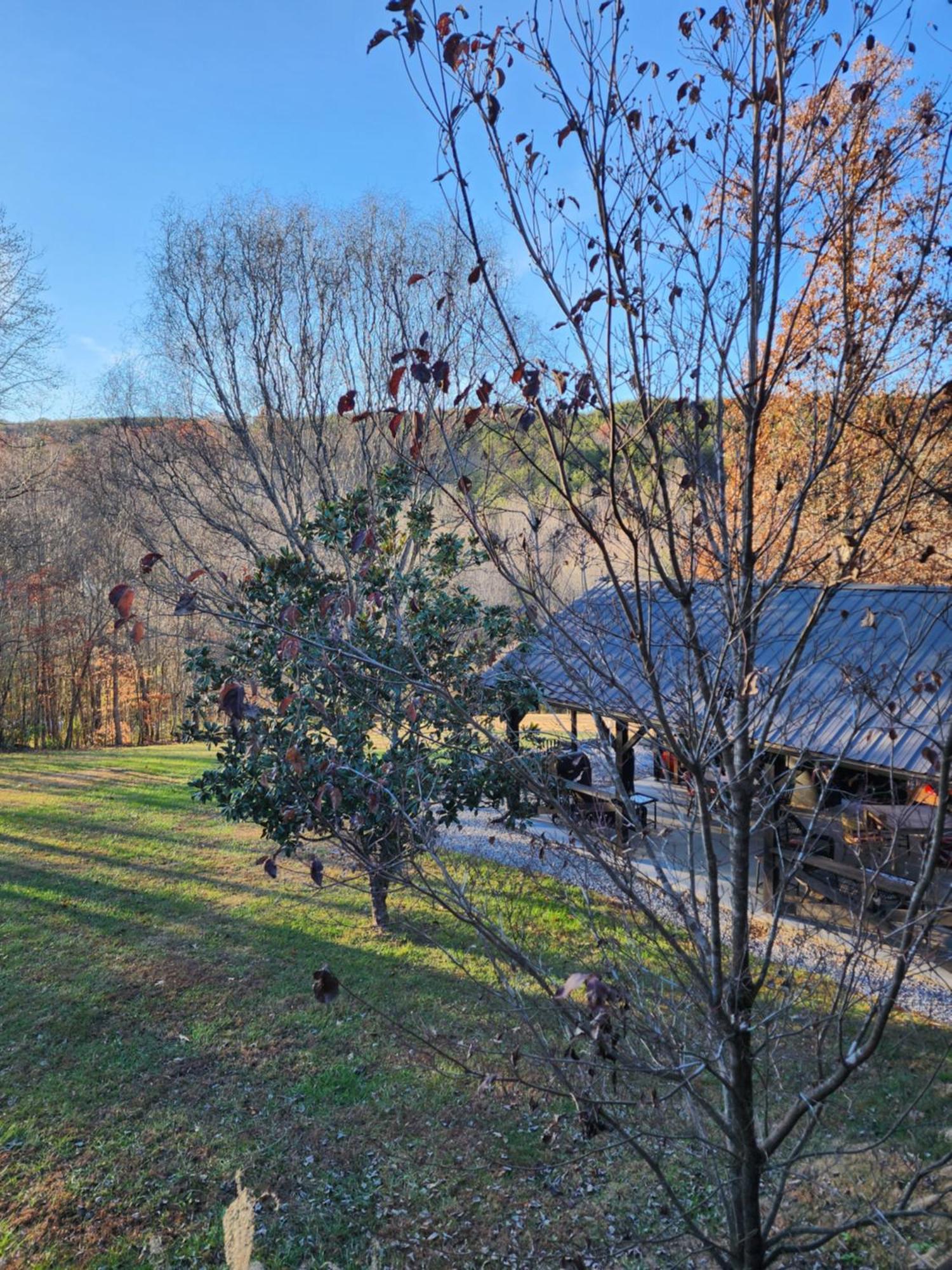 Lodge At Tellico テリコ・プレインズ エクステリア 写真